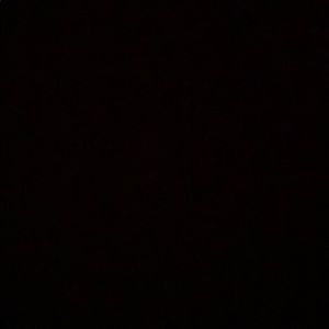 Meet your Posher, Korey